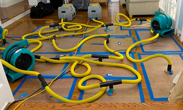 Professional Crawl Space Water Removal technician working in Tavernier, FL